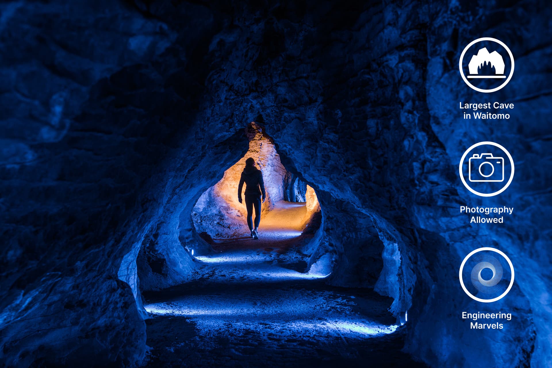 Glowworms at Ruakuri Cave